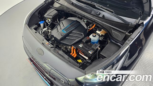 Kia Niro EV Noblesse 2019 — фото 6