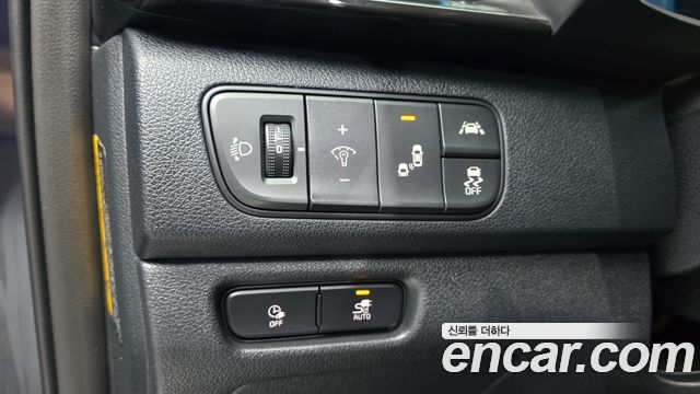 Kia Niro EV Noblesse 2019 — фото 14