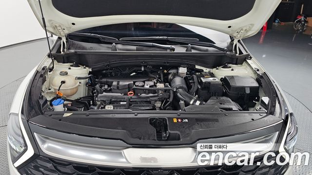 Kia Sportage (V) Gasoline 1.6 Turbo 2WD Nobleless 2023 — фото 6