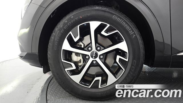 Kia Sportage Hybrid (V) Signature 2WD 2024 — фото 5