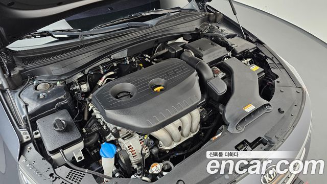 Kia K5 (II) 2.0 LPI Rental Car Prestige 2019 — фото 6