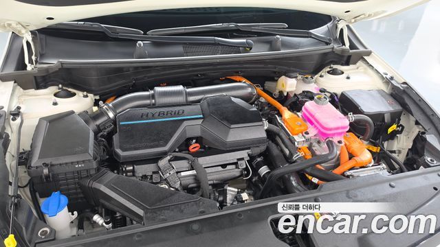 Kia Sportage Hybrid (V) Signature 2WD 2023 — фото 6
