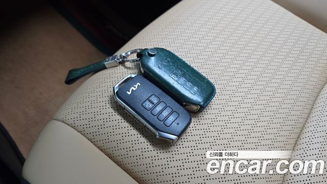 Kia Carnival (IV) Gasoline 9-Seater Signature 2023 — фото 20