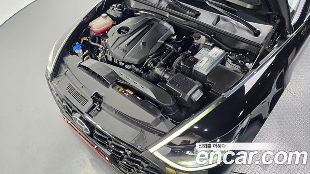 Hyundai Sonata (DN8) 2.0 Premium Plus 2022 — фото 6