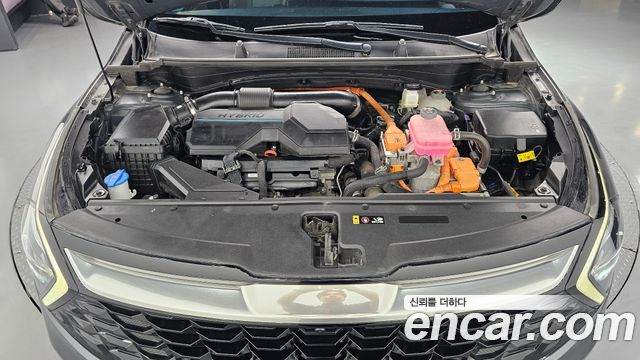 Kia Sportage Hybrid (V) Signature 2WD 2023 — фото 6