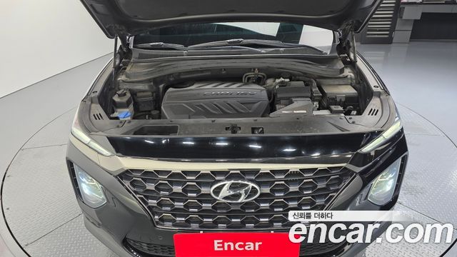 Hyundai Santa Fe (TM) Diesel 2,0 4WD Exclusive Special 2019 — фото 6