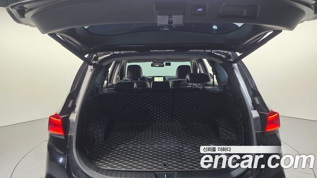 Hyundai Santa Fe (TM) Diesel 2,0 4WD Exclusive Special 2019 — фото 16