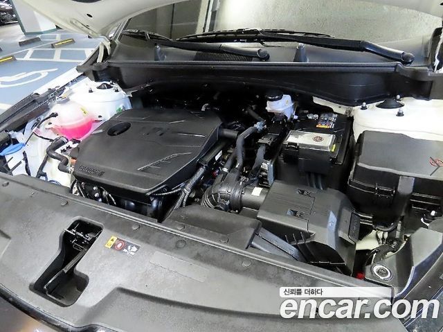Kia Sportage (V) LPG 2.0 2WD Noblesse 2024 — фото 23