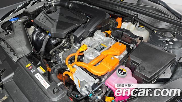 Kia K5 Hybrid (III) Prestige 2023 — фото 6