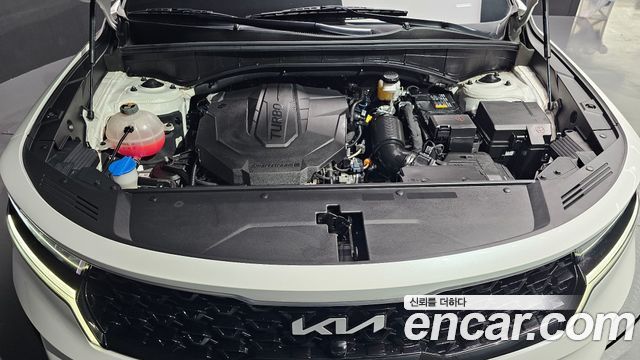Kia Sorento (IV) Diesel 2.2 2WD Noblesse 2023 — фото 6