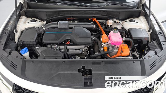 Kia Sorento (IV) HEV 1.6 2WD Noblesse 2023 — фото 6