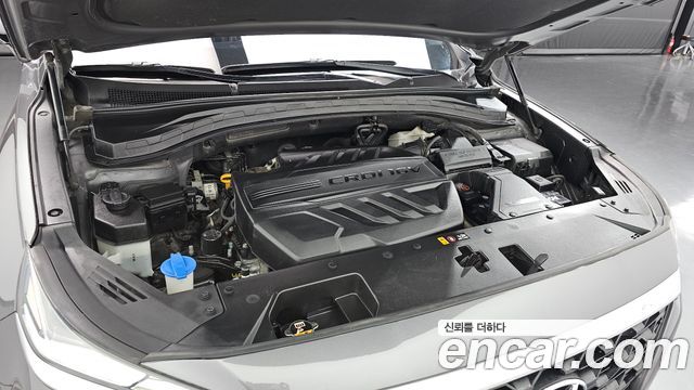 Hyundai Santa Fe (TM) Diesel 2.2 4WD Exclusive 2019 — фото 6