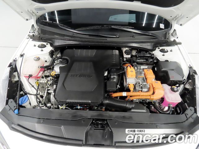 Hyundai Avante Hybrid (CN7) Modern 2023 — фото 8