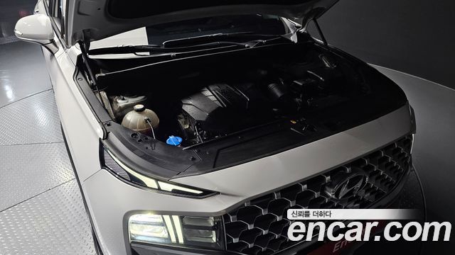 Hyundai Santa Fe Diesel 2.2 2WD Premium Choice 2021 — фото 6