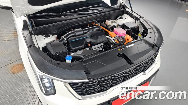 Kia Sorento (IV) HEV 1.6 2WD Noblesse 2024 — фото 6