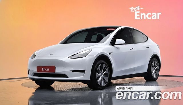 Tesla Model Y RWD