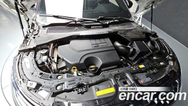 Land Rover Range Rover Evoque (II) P250 R-Dynamic SE 2023 — фото 6
