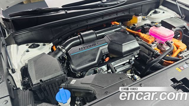 Kia Sorento (IV) HEV 1.6 4WD Gravity 2023 — фото 6