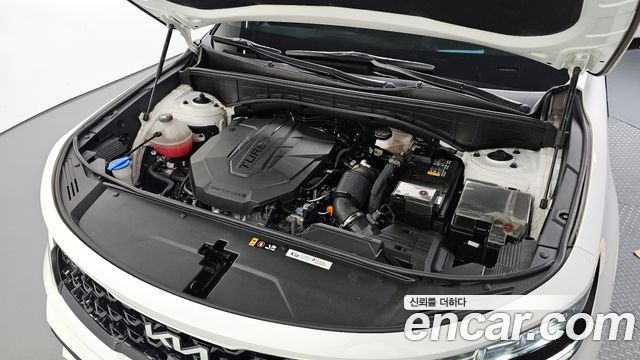 Kia Sorento (IV) Diesel 2.2 4WD Signature 2023 — фото 6