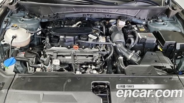 Hyundai Tucson (NX4) Gasoline 1.6 Turbo 2WD Premium 2023 — фото 6