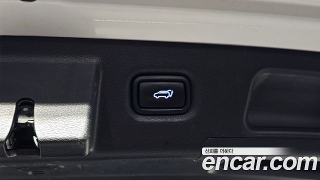 Hyundai Santa Fe Diesel 2.2 2WD Premium Choice 2021 — фото 20