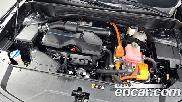 Kia Sorento (IV) HEV 1.6 2WD Signature 2021 — фото 6