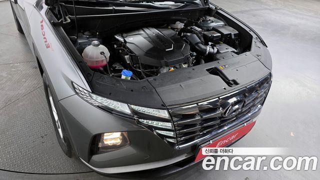 Hyundai Tucson (NX4) Diesel 2.0 4WD Modern 2023 — фото 6