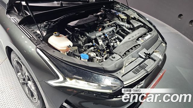 Kia K5 (III) 1.6 Turbo Noblesse 2022 — фото 6