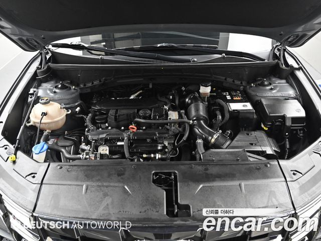 Hyundai Tucson (NX4) Gasoline 1.6 Turbo 2WD N Line Inspiration 2022 — фото 6