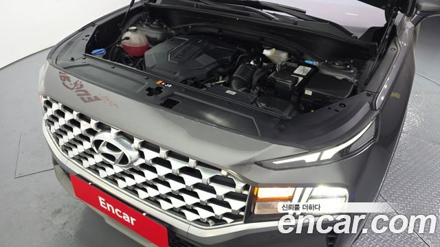 Hyundai Santa Fe Diesel 2.2 2WD Premium Choice 2021 — фото 6