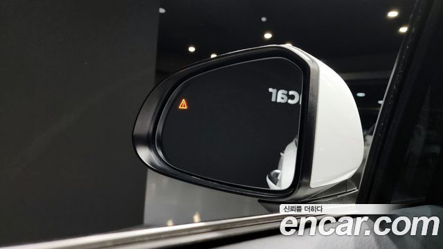 Hyundai Santa Fe Diesel 2.2 2WD Exclusive 2022 — фото 19