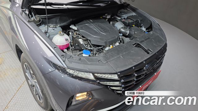 Hyundai Tucson (NX4) Diesel 2.0 2WD Premium 2023 — фото 6