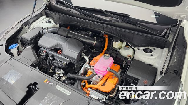 Kia Sorento (IV) HEV 1.6 2WD Signature 2026 — фото 6