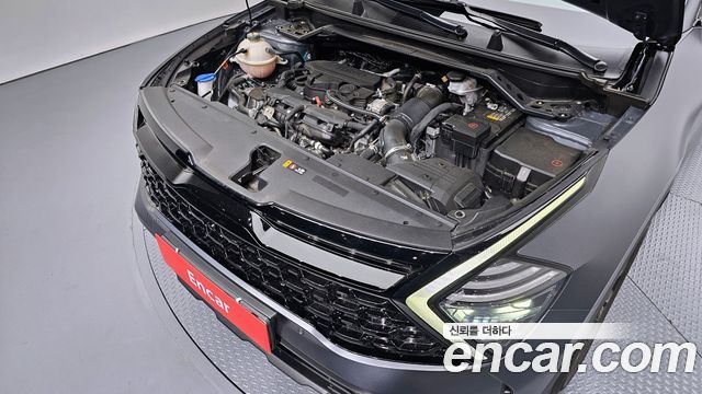 Kia Sportage (V) Gasoline 1.6 Turbo 4WD 30TH Edition 2024 — фото 6