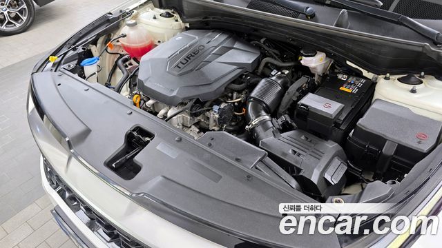 Kia Sportage (V) Diesel 2.0 2WD Signature 2022 — фото 6