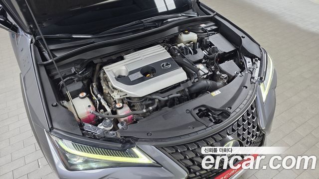 Lexus UX250h 2.0 AWD 2019 — фото 6