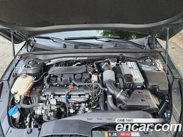 Kia K5 (III) 1.6 Turbo Noblesse 2021 — фото 24