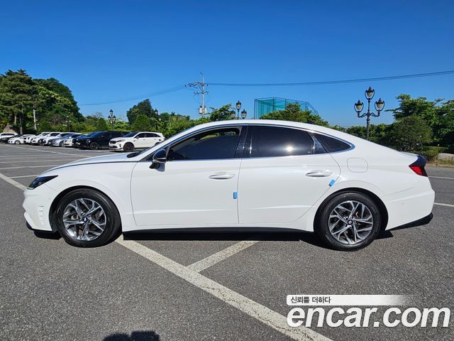 Hyundai Sonata (DN8) 1.6 Turbo Premium Plus 2022 — фото 15