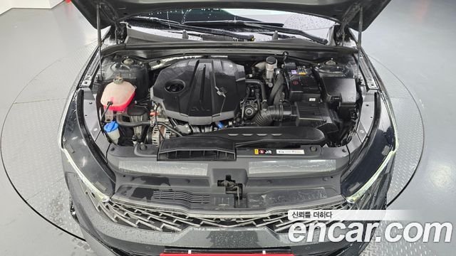 Kia K5 (III) 2.0 Noblesse 2022 — фото 6