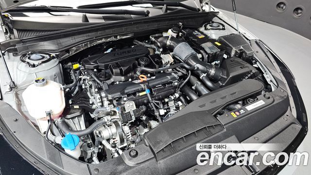 Kia K5 (III) 1.6 Turbo Noblesse 2025 — фото 6