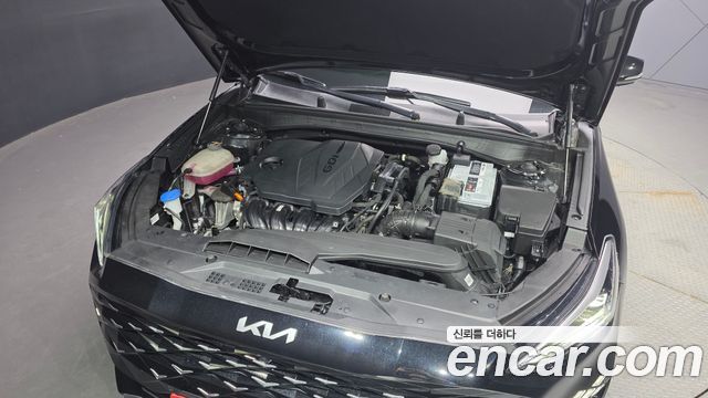 Kia K8 2.5 Gasoline 2WD Noblesse 2023 — фото 6