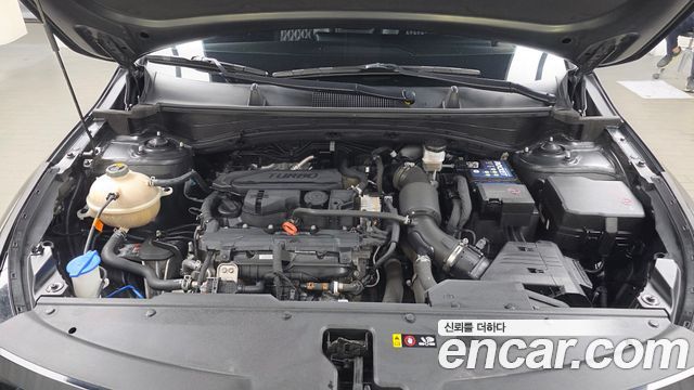 Kia Sportage (V) Gasoline 1.6 Turbo 4WD Signature Gravity 2022 — фото 6