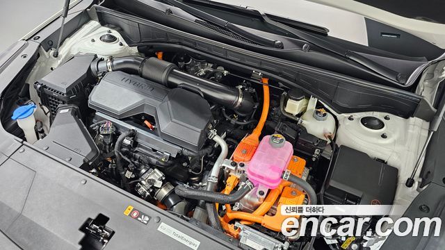 Kia Sorento (IV) HEV 1.6 2WD Signature X Line 2026 — фото 6
