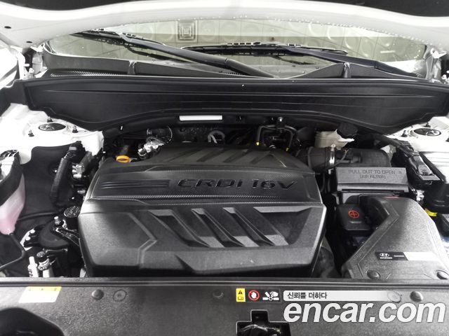 Hyundai Palisade Diesel 2.2 2WD Exclusive 2021 — фото 21