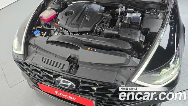 Hyundai Sonata (DN8) 2.0 Premium Plus 2023 — фото 6