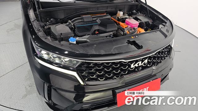 Kia Sorento (IV) HEV 1.6 2WD Noblesse 2022 — фото 6