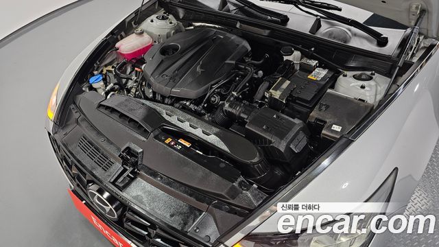 Hyundai Sonata (DN8) 2.0 Premium Plus 2023 — фото 6