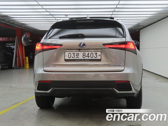 Lexus NX300h Executive 2018 — фото 3