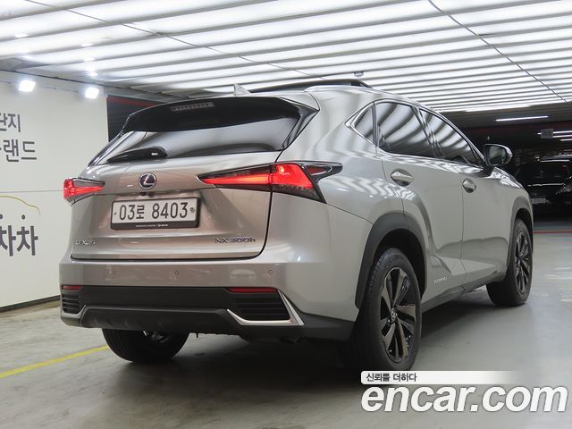 Lexus NX300h Executive 2018 — фото 4