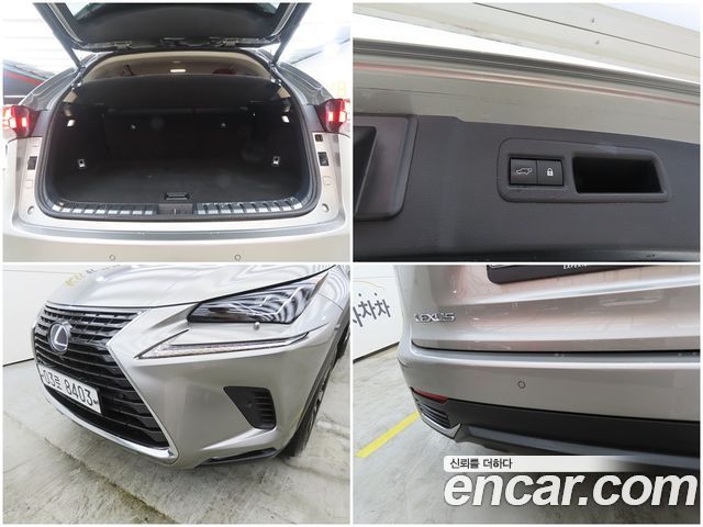 Lexus NX300h Executive 2018 — фото 22